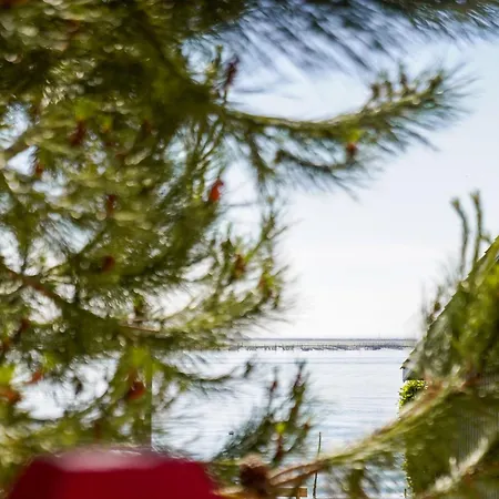 De La Hotel Lège-Cap-Ferret