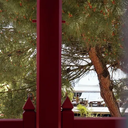 De La * Lège-Cap-Ferret