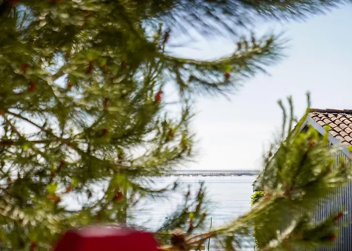 De La Hotel Lège-Cap-Ferret